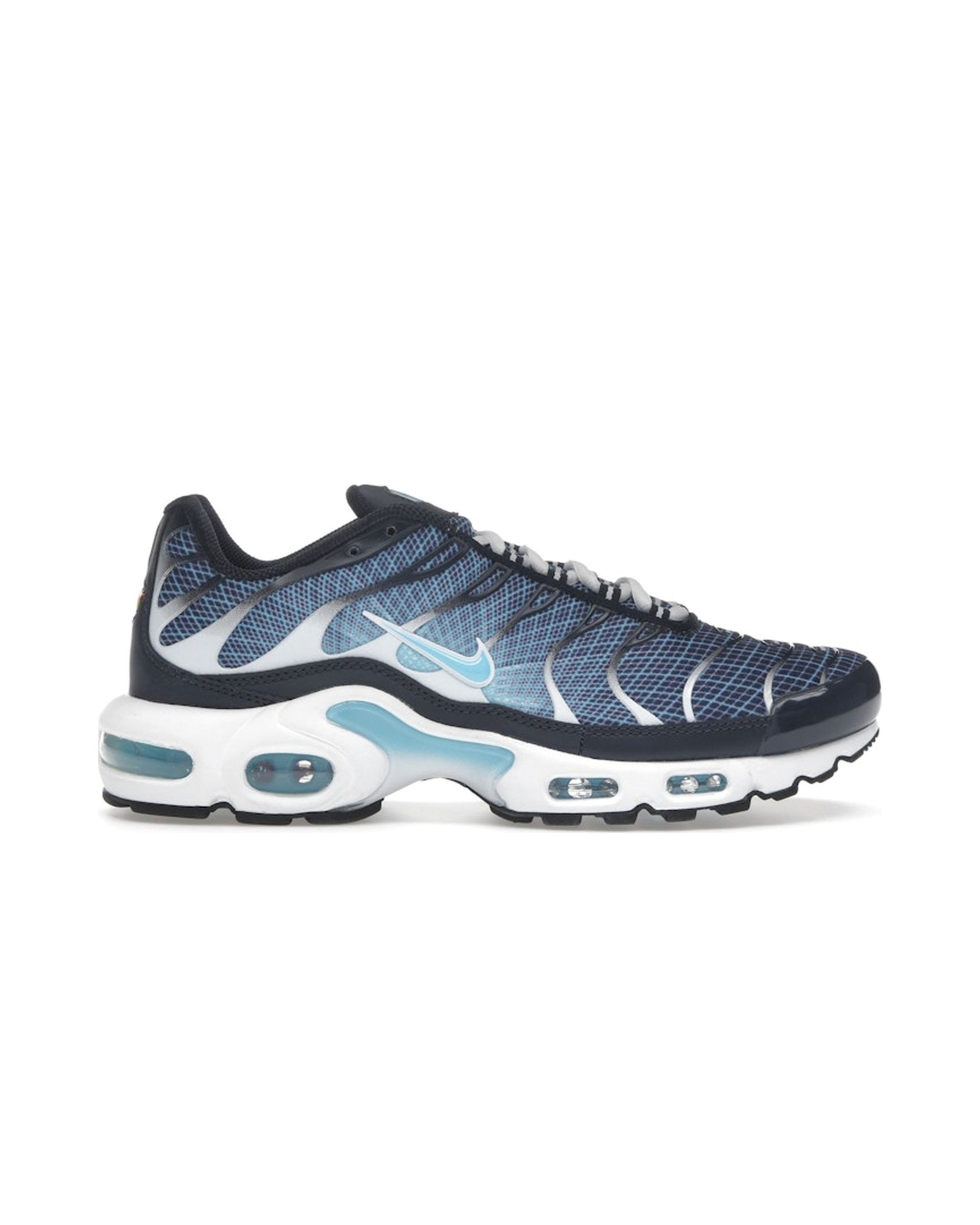 Nike Air Max Plus Dark Obsidian