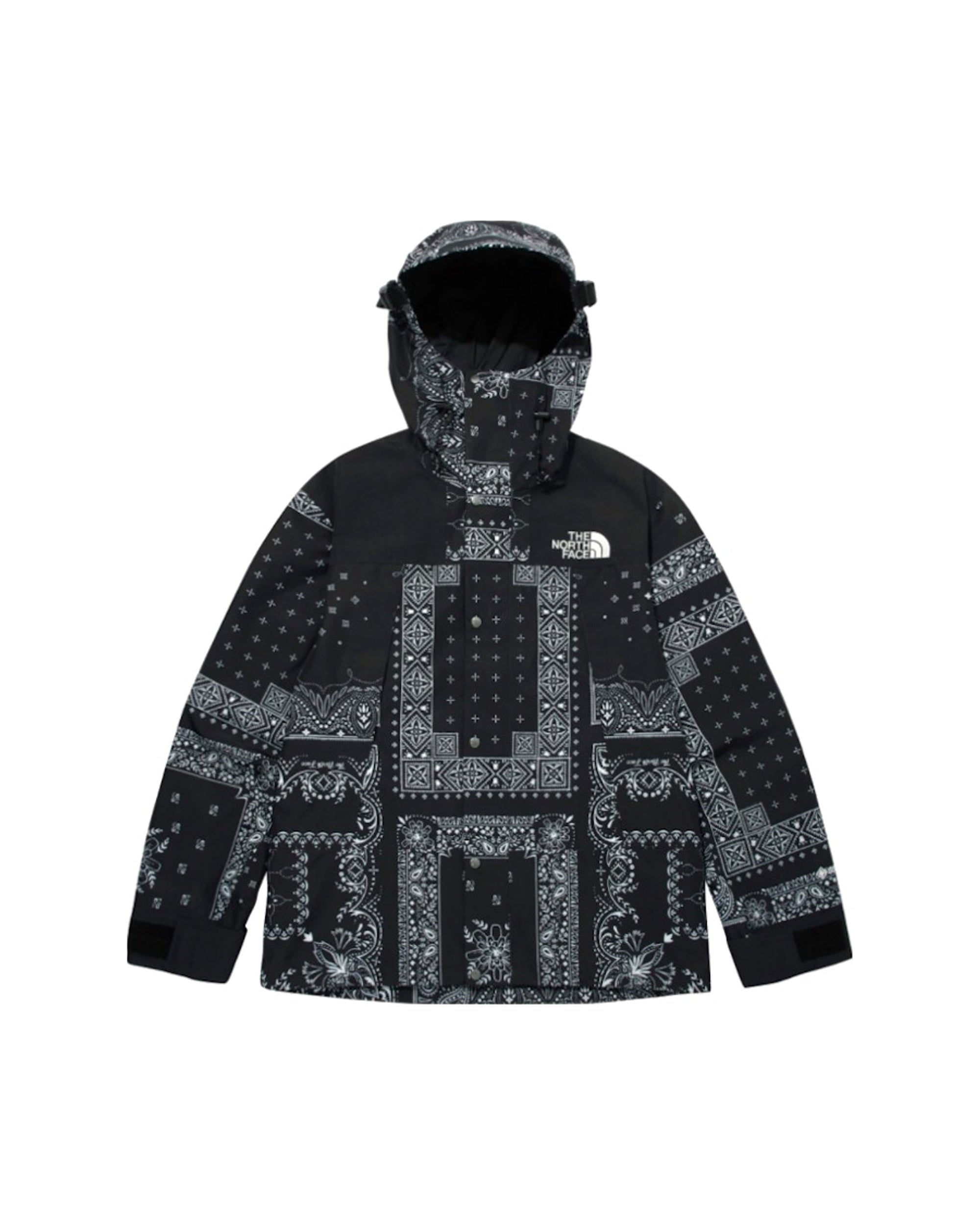 The North Face Novelty GTX Paisley Mountain Jacket Black