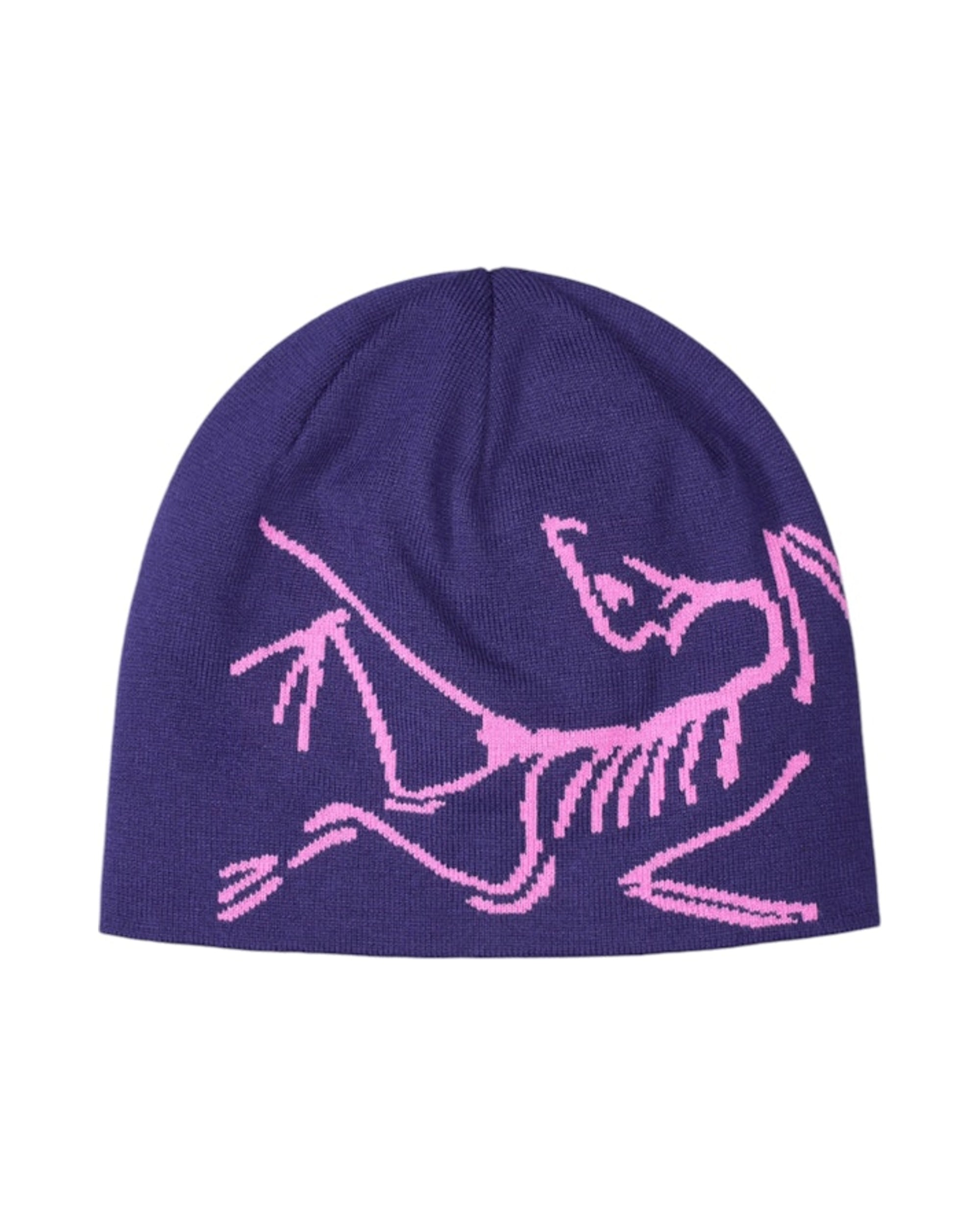 Arc'teryx Lightweight Bird Head Toque Beanie Soulsonic/Alpen